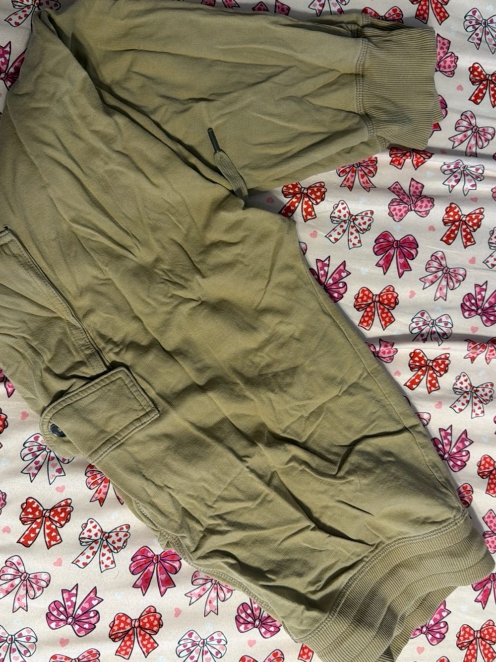 aerie Olive Green Cargo Jogger Pants